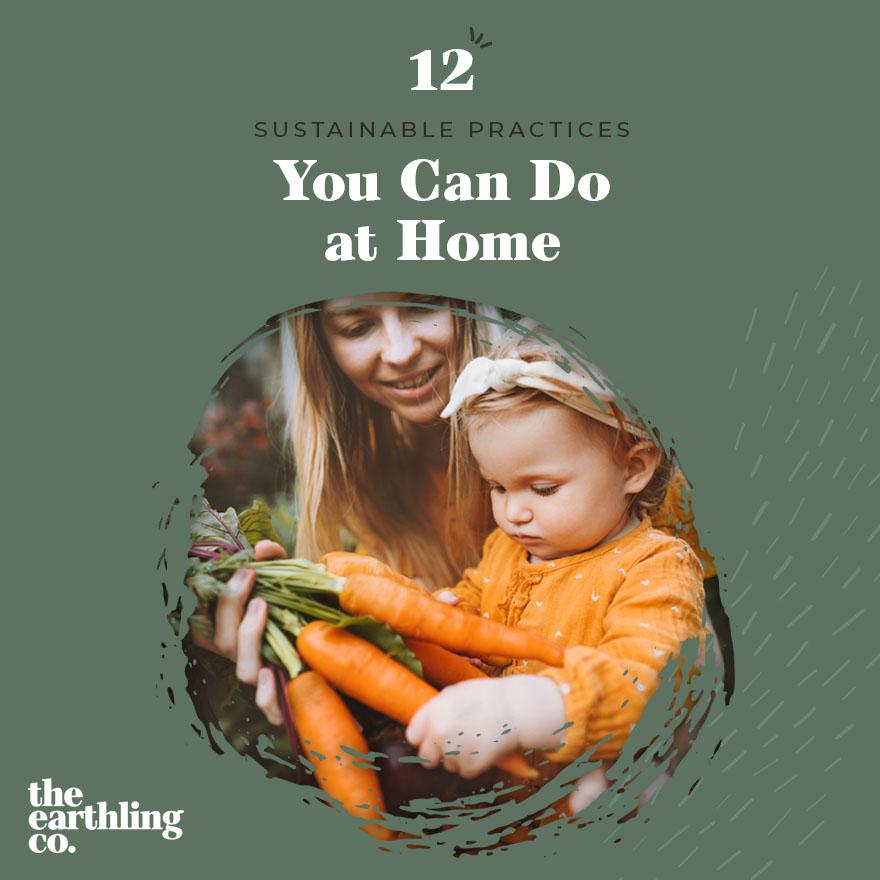 12 Sustainable Practices You Can Do at Home