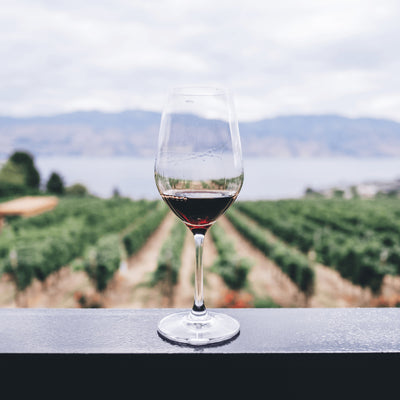 6 Vegan Wines to Buy for the Environmentalist
