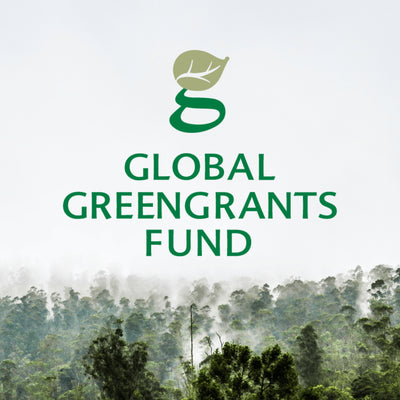 Partner Spotlight: Who is Global Greengrants Fund?