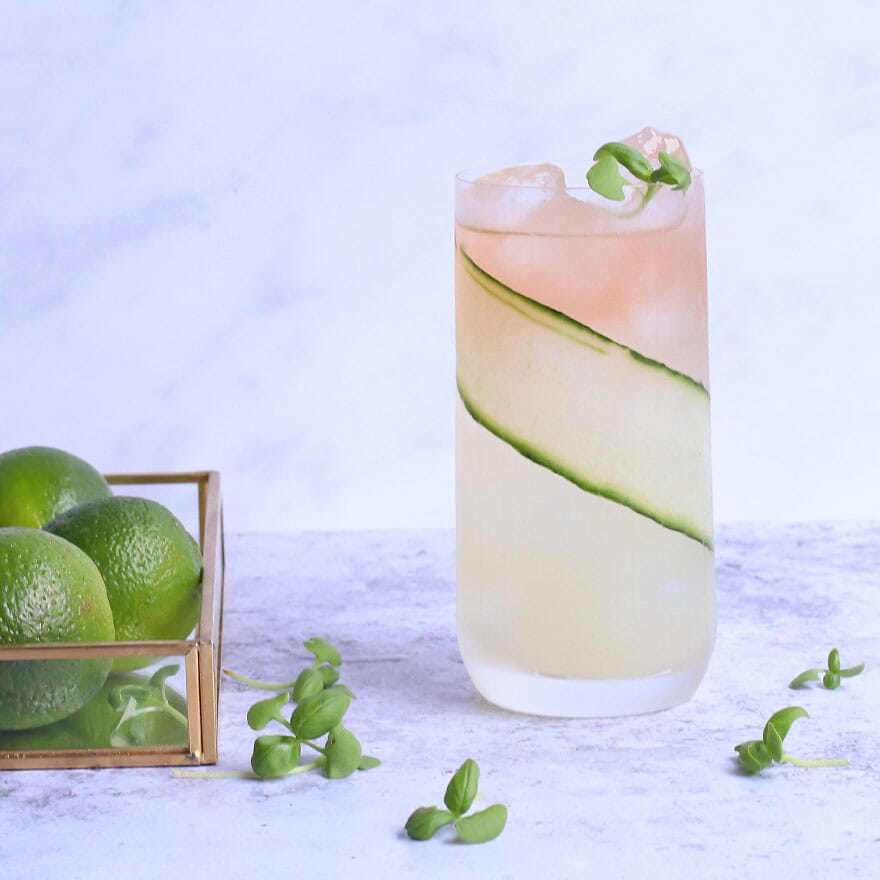 Refreshing Cucumber Melon Agua Fresca