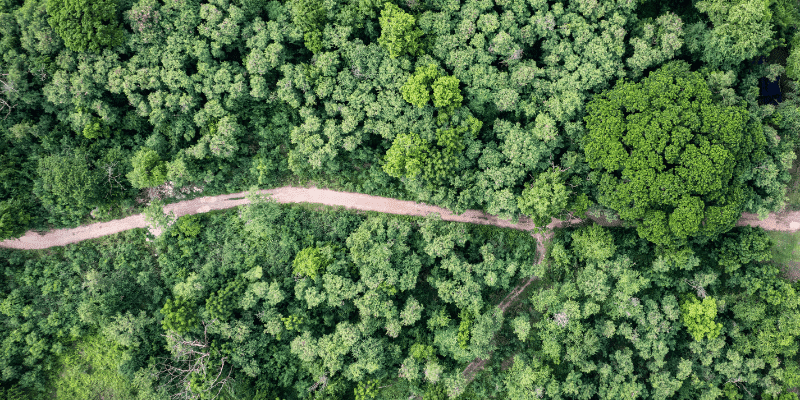 What Does Carbon Neutral Shipping Actually Mean?