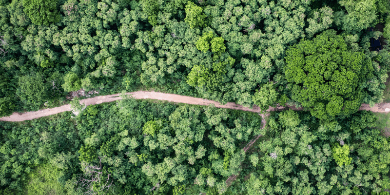 What Does Carbon Neutral Shipping Actually Mean?