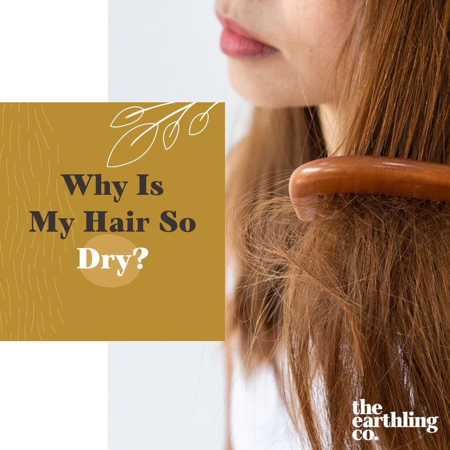 Why Is My Hair So Dry? The Earthling Co.