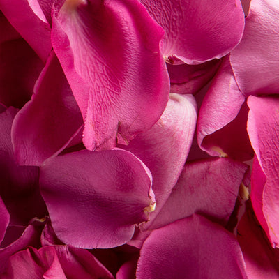 Rosy Jasmine