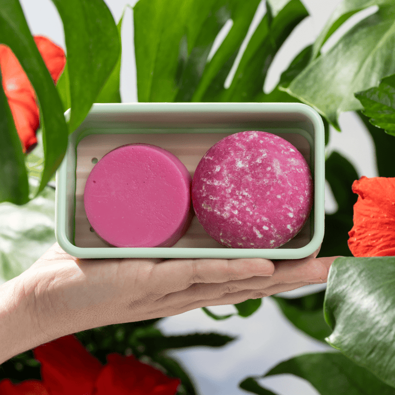 Hibiscus Petal Shampoo and Conditioner For Thickness & Volume