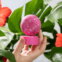 
            Hibiscus Petal Shampoo and Conditioner For Thickness & Volume + Free Travel Case