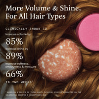 
            Pumpkin Spice Shampoo and Conditioner Set