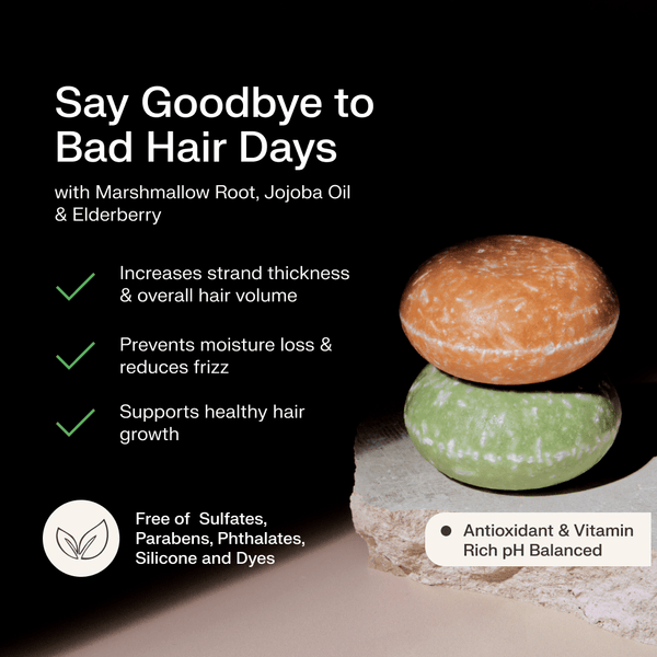 Maple Sugar Shampoo and Conditioner Set The Earthling Co.